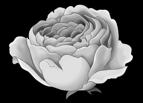 Цветок 010 (пион)