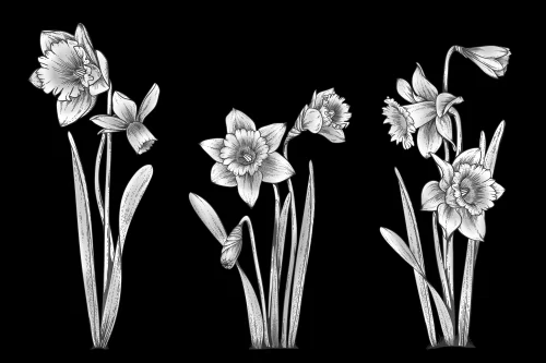 Цветок 042 (нарцис)