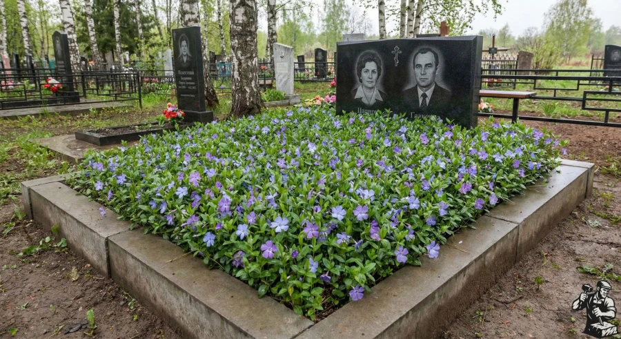 russian-cemetery-granite-tombstone-vinca-flowers